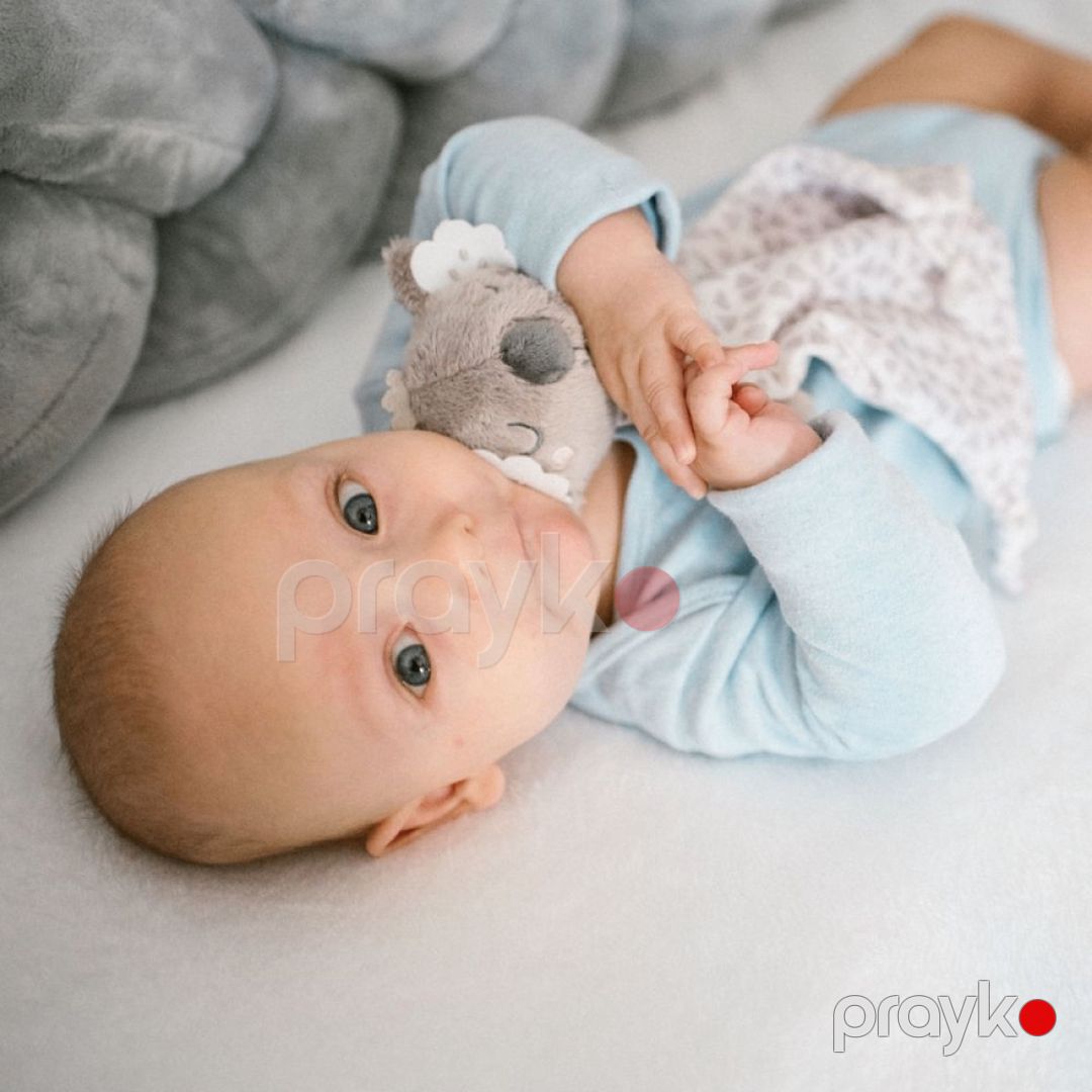 Qucaqlama oyuncağı Babyono 1635, poliester, 20х25 sm — Mallar, Bakı (4)
