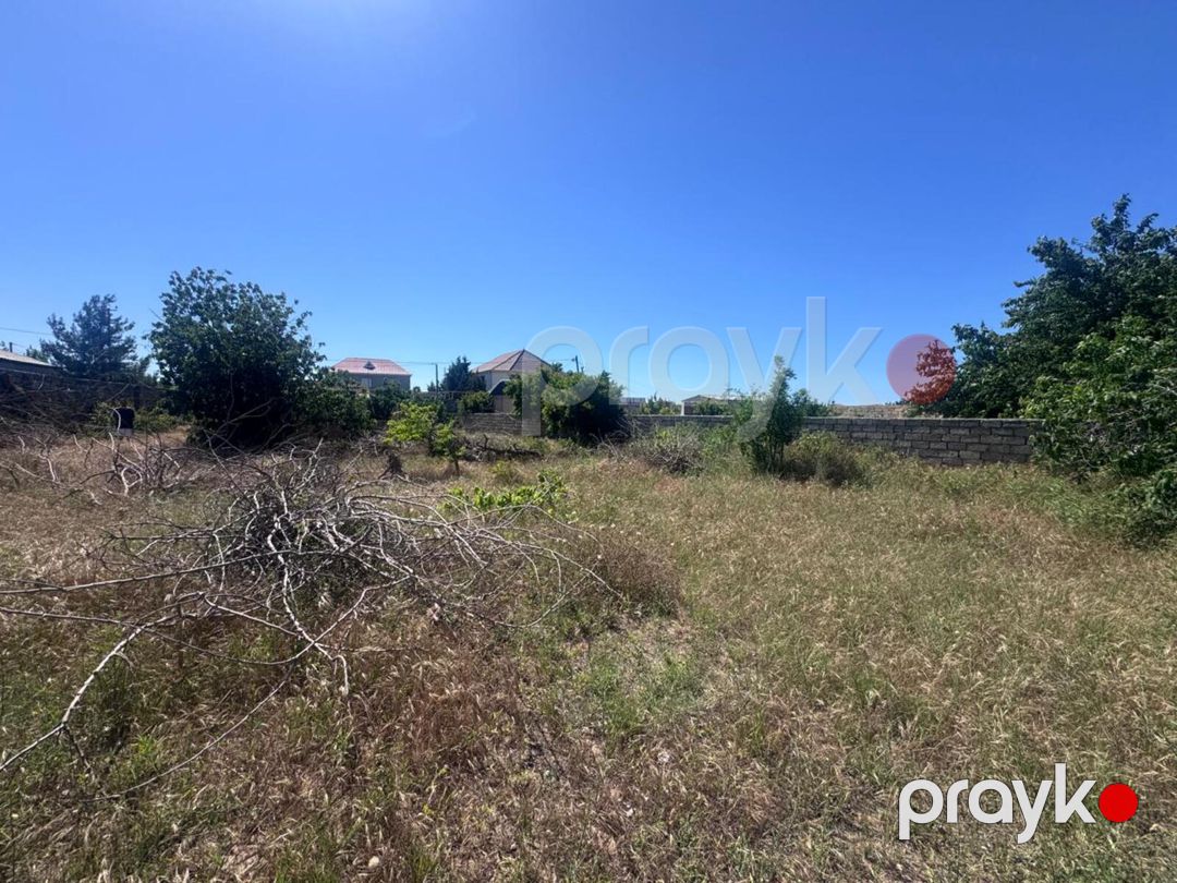 Satılır torpaq 22 sot — Torpaq, Bakı (7)