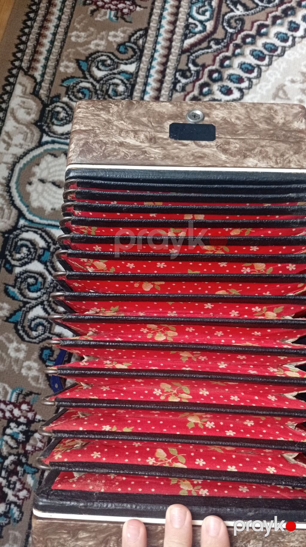 Akustik Akkordeon, İşlənmiş — Akkordeonlar, harmonilar, bayanlar, Bakı (4)
