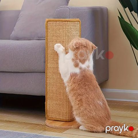 Pişik üçün cırma lövhəsi, iva673 — Bakı