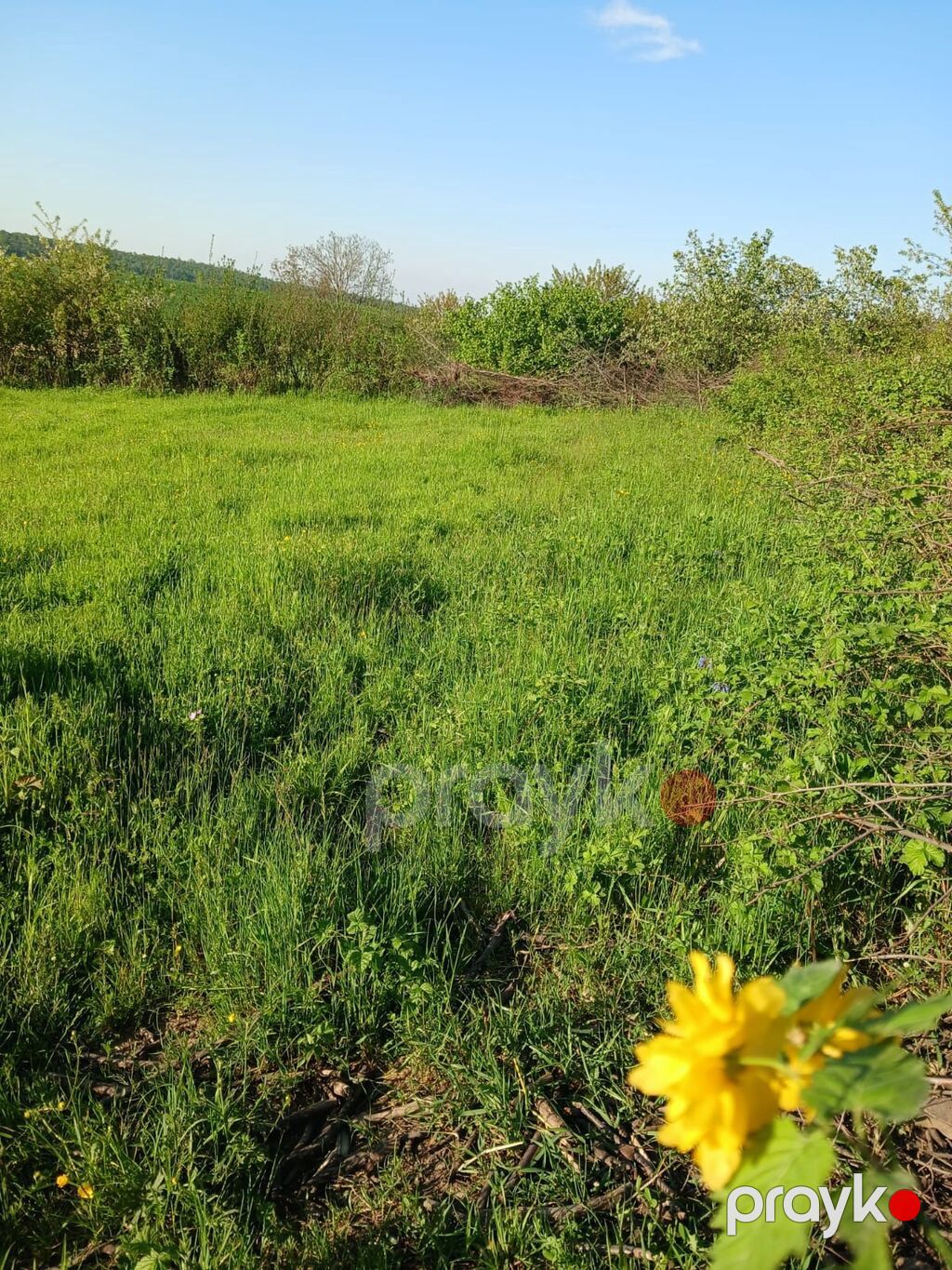 Tikinti — Torpaq, Qusar (4)