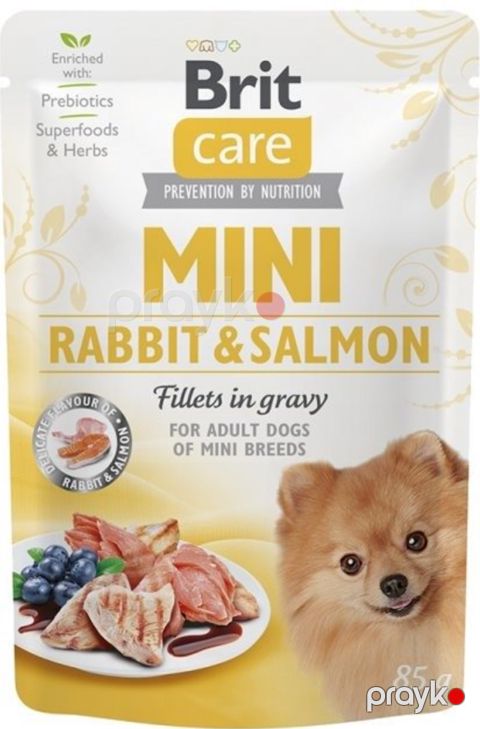 Nəm yem Brit Care Mini xırda cinsli itlər üçün, dovşan və qızılbalıq dadı ilə, 85 q — Bakı