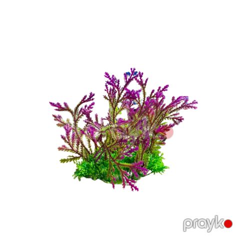 Akvarium üçün süni bitki, plastik — Bakı