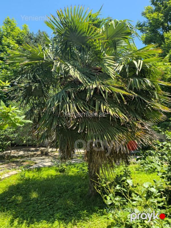 Satılır 6 otaqlı Həyət evi / Villa, 270 m², Ceyranbatan qəsəbəsi — Ev, villa, Sumqayıt (7)
