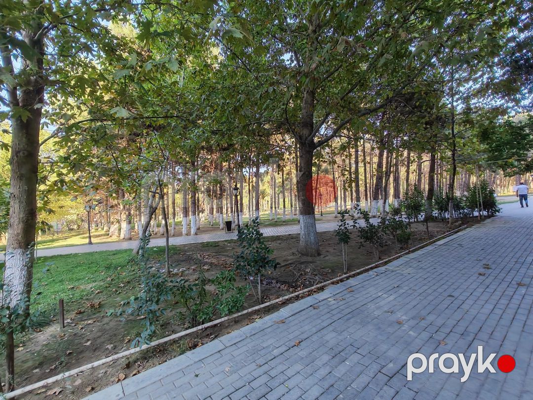 İcarəyə verilir obyekt 257 m² — Əmlak, Xırdalan (6)
