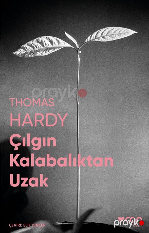 Çılgın Kalabalıktan Uzak (Fotoğraflı Klasikler) — Bakı