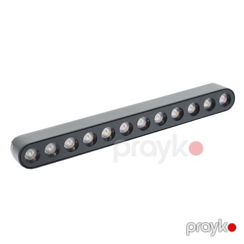 Ray spotu TL3006C-12WDC48-GLR12-G1 sparkled 12W 4000K maqnitli — Bakı