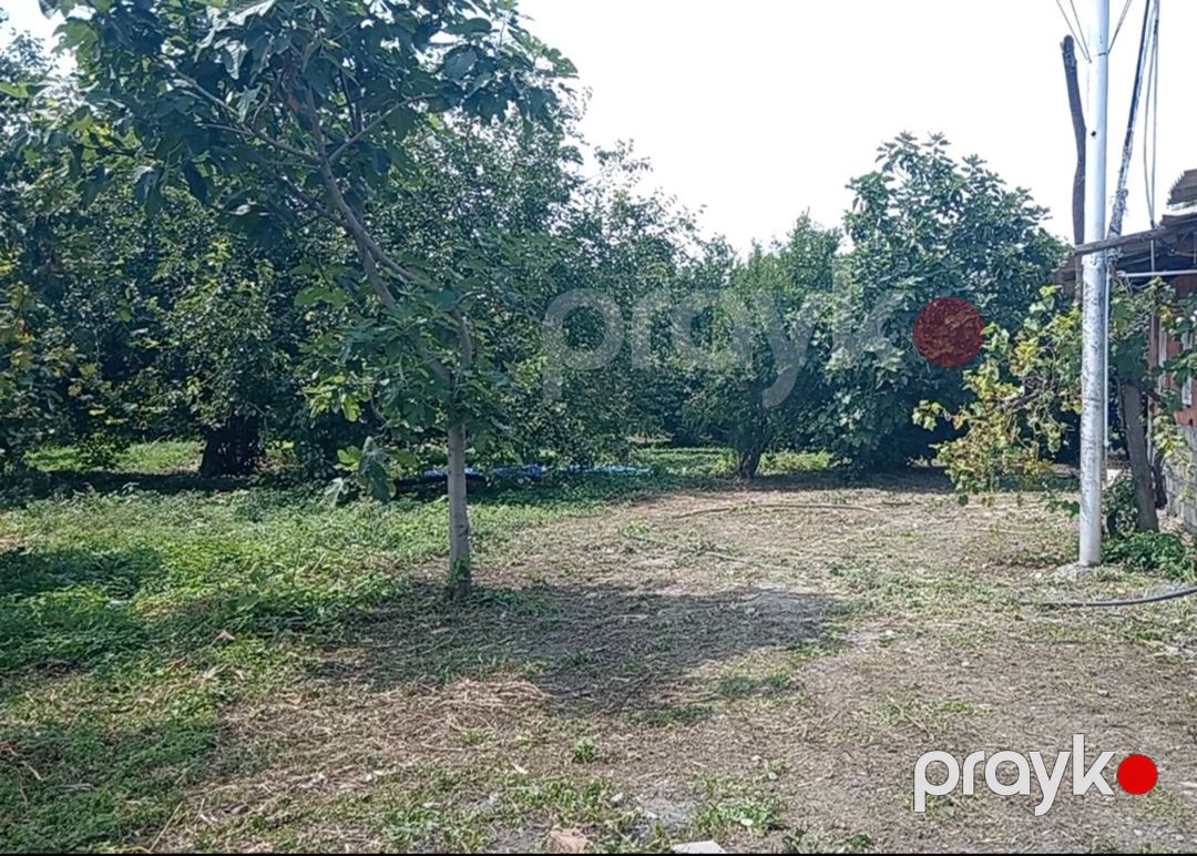 180 sot torpaq sahəsi, Zaqatala r — Torpaq, Zaqatala (2)