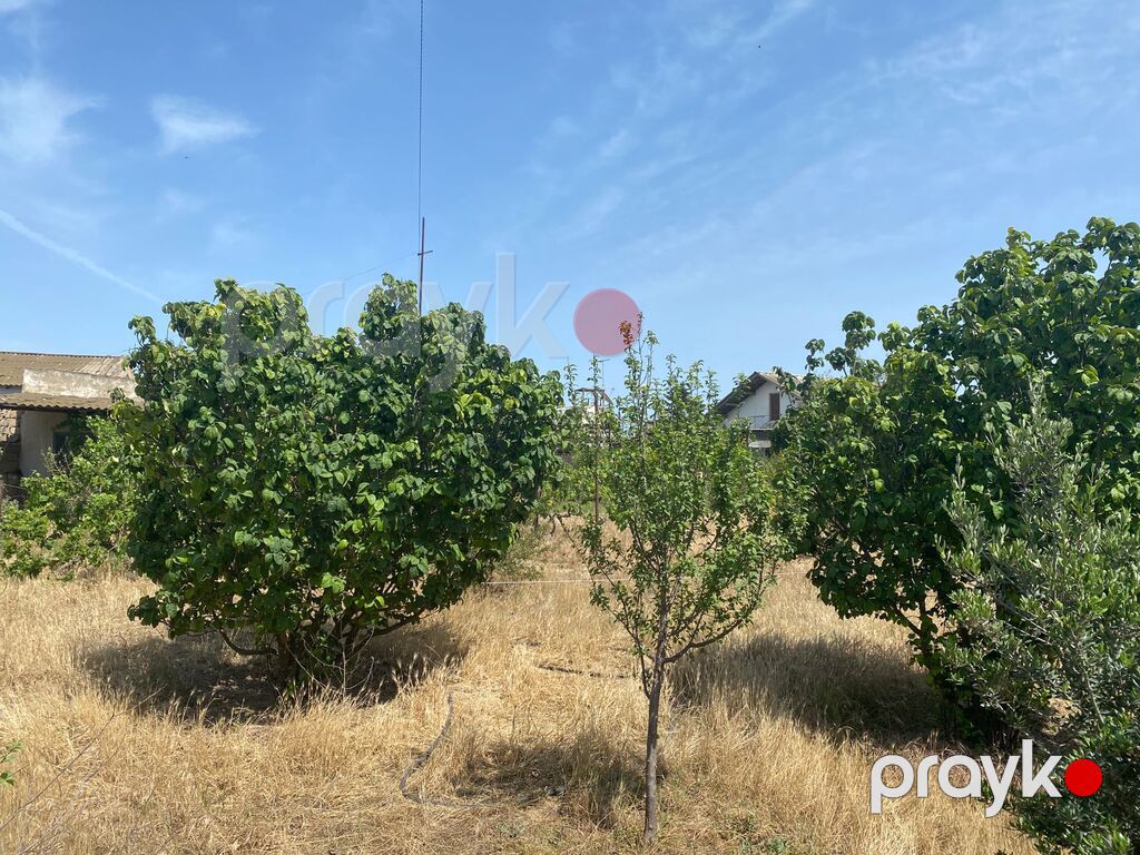 Satılır torpaq 13 sot — Torpaq, Bakı (5)