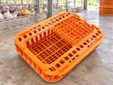 Toyuq daşımaq üçün səbət — IL STORE — Pet supplies