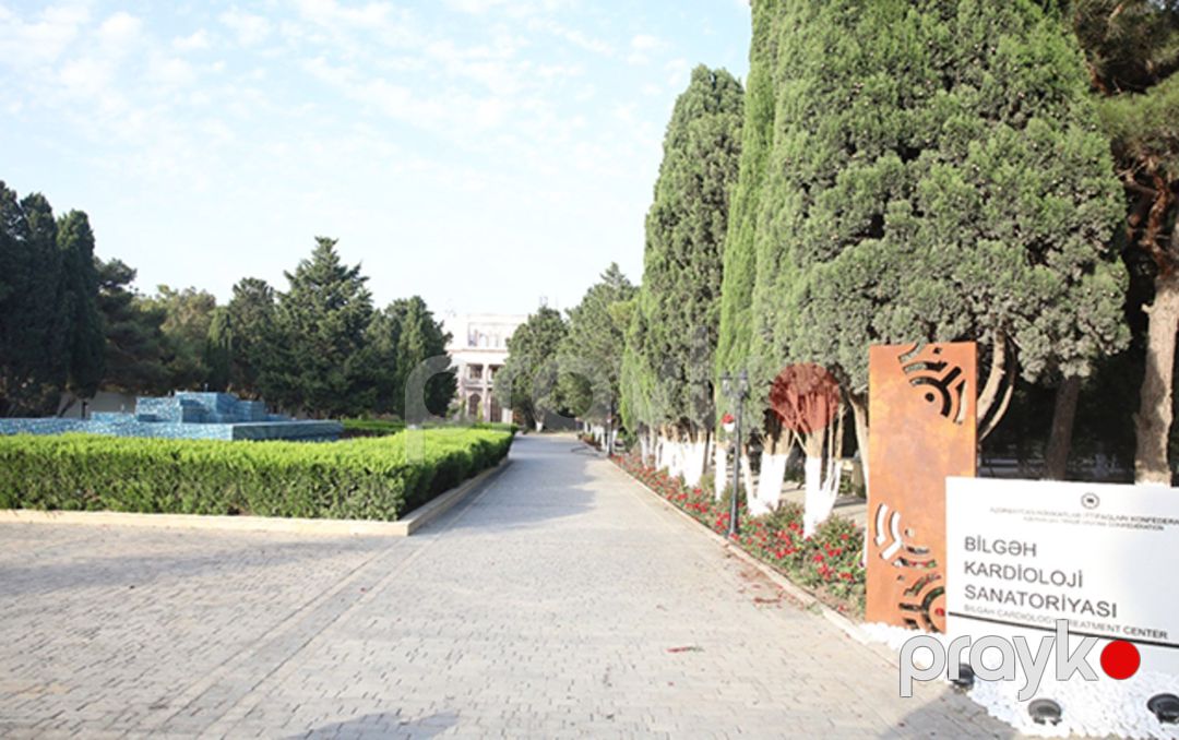 Satılır torpaq 18 sot — Torpaq, Bakı (4)
