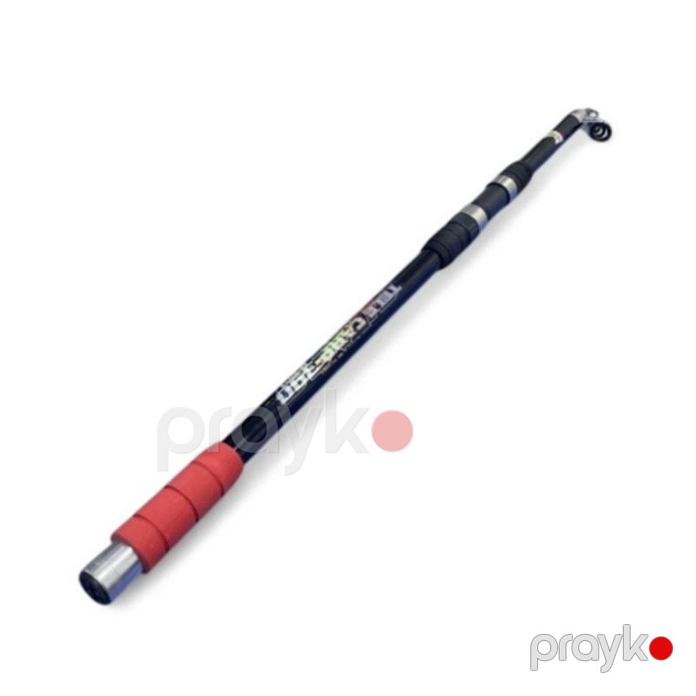 Tilov ağacı Tele Carp, 3 m — Mallar, Bakı (2)