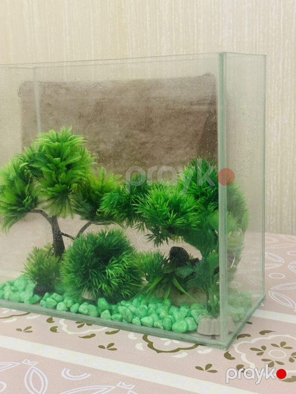 Akvarium dekorları ilə birlikdə — Akvariumlar və balıqlar, Bakı (3)