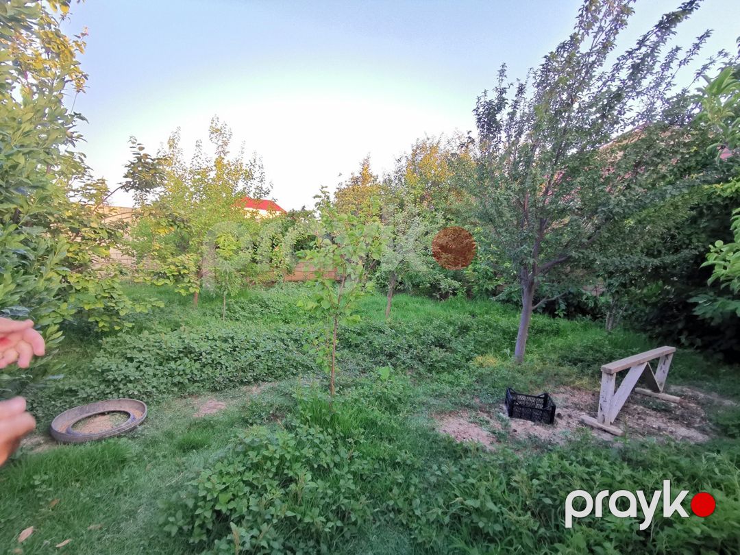 Satılır torpaq 6 sot — Torpaq, Şirvan (10)