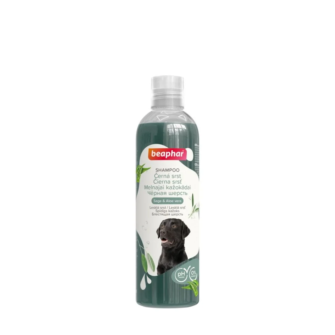 Beaphar Provitamin Şampunu qara itlər üçün, 250 ml