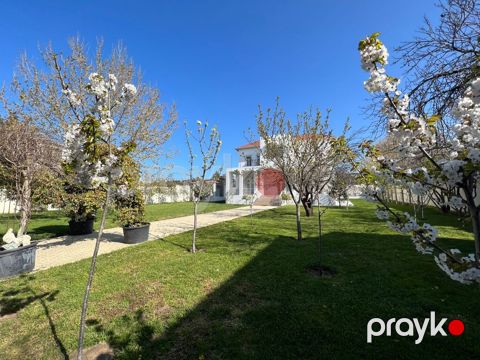 İcarəyə verilir 7 otaqlı həyət evi/bağ evi 500 m² — Bakı