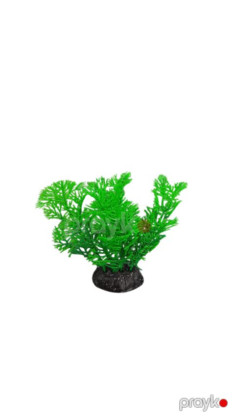 Akvarium üçün dekorativ ağac 8585_79598953, yaşıl — Bakı