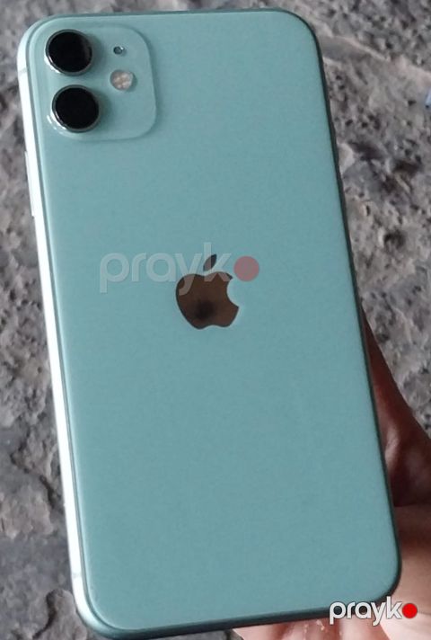 Apple iPhone 11 Green 64GB/4GB — Bakı