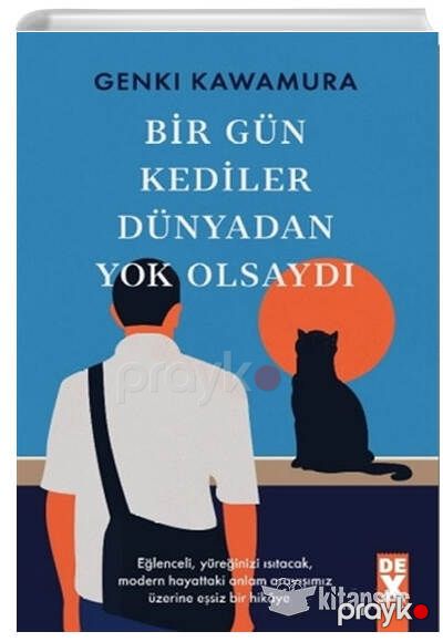 Bir Gün Kediler Dünyadan Yok Olsaydı — Bakı