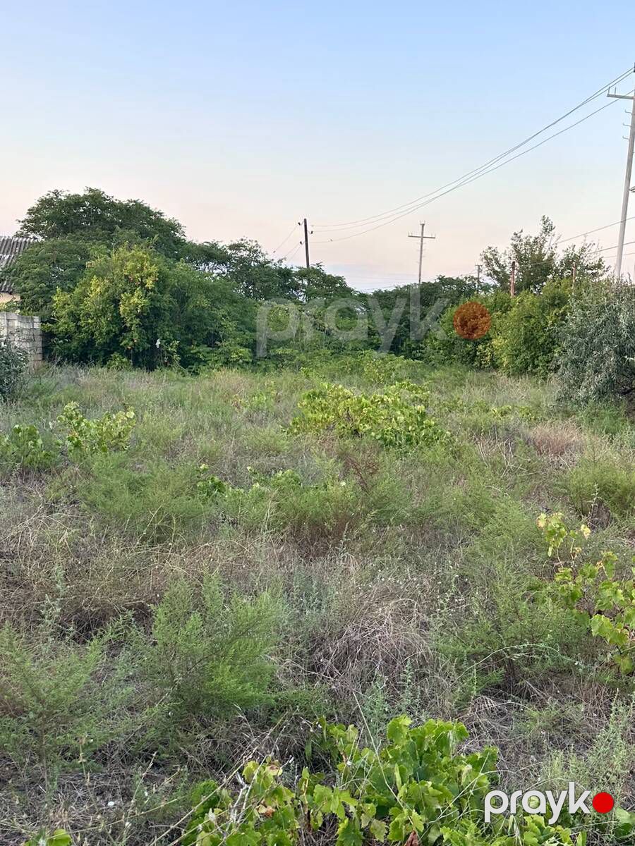 Satılır torpaq 4 sot — Torpaq, Bakı (5)