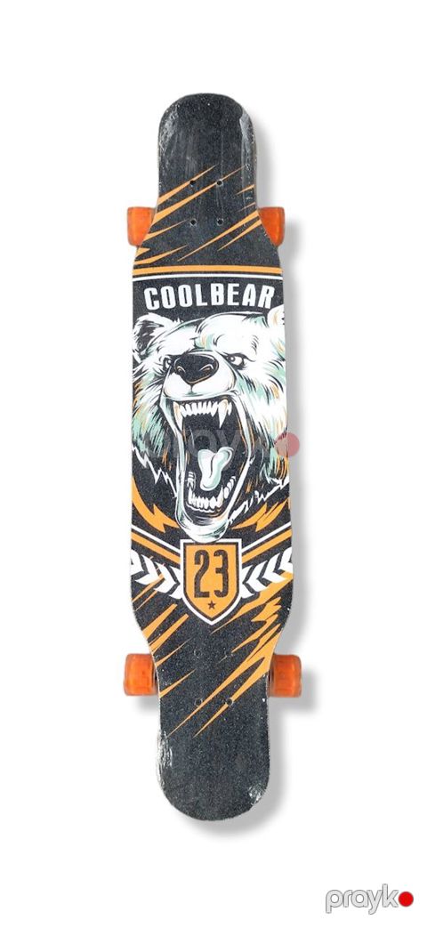 Lonqbord Globe Cool Bear, rəngbərəng — Bakı