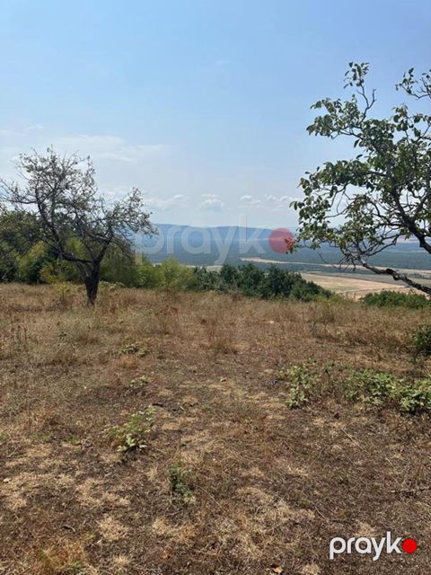 500 sot torpaq sahəsi, Vəndam k — Qəbələ