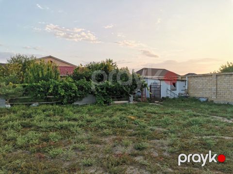 Satılır torpaq 6 sot — Şirvan