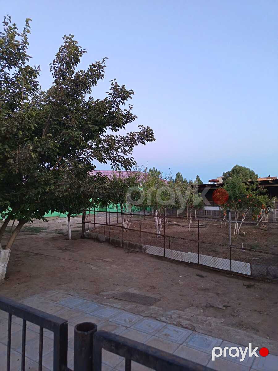 Satılır 5 otaqlı həyət evi/bağ evi 230 m² — Ev, villa, Bakı (11)