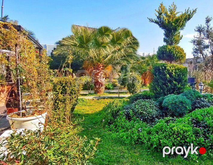 İcarəyə verilir 8 otaqlı həyət evi/bağ evi 500 m² — Ev, villa, Bakı (9)