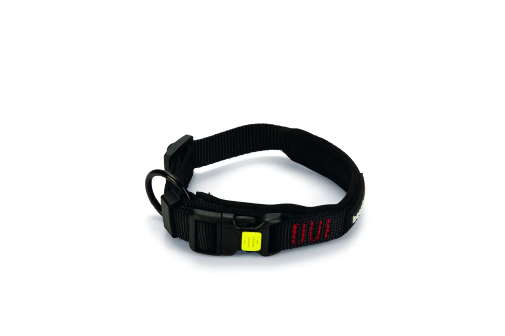 Beeztees Premium nylon collar Parinca itlər üçün yaxalıq 50-55×25 mm (qara) — Bakı