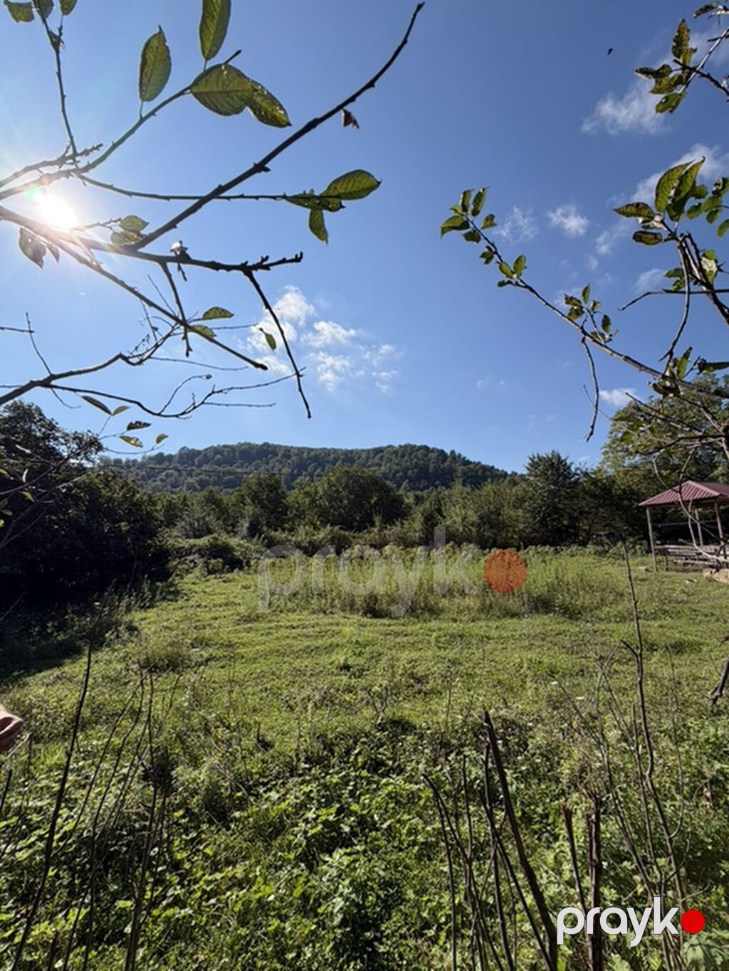 3 sot, Tikinti, Mülkiyyətçi, Kupça (Çıxarış) — Torpaq, Qusar (5)