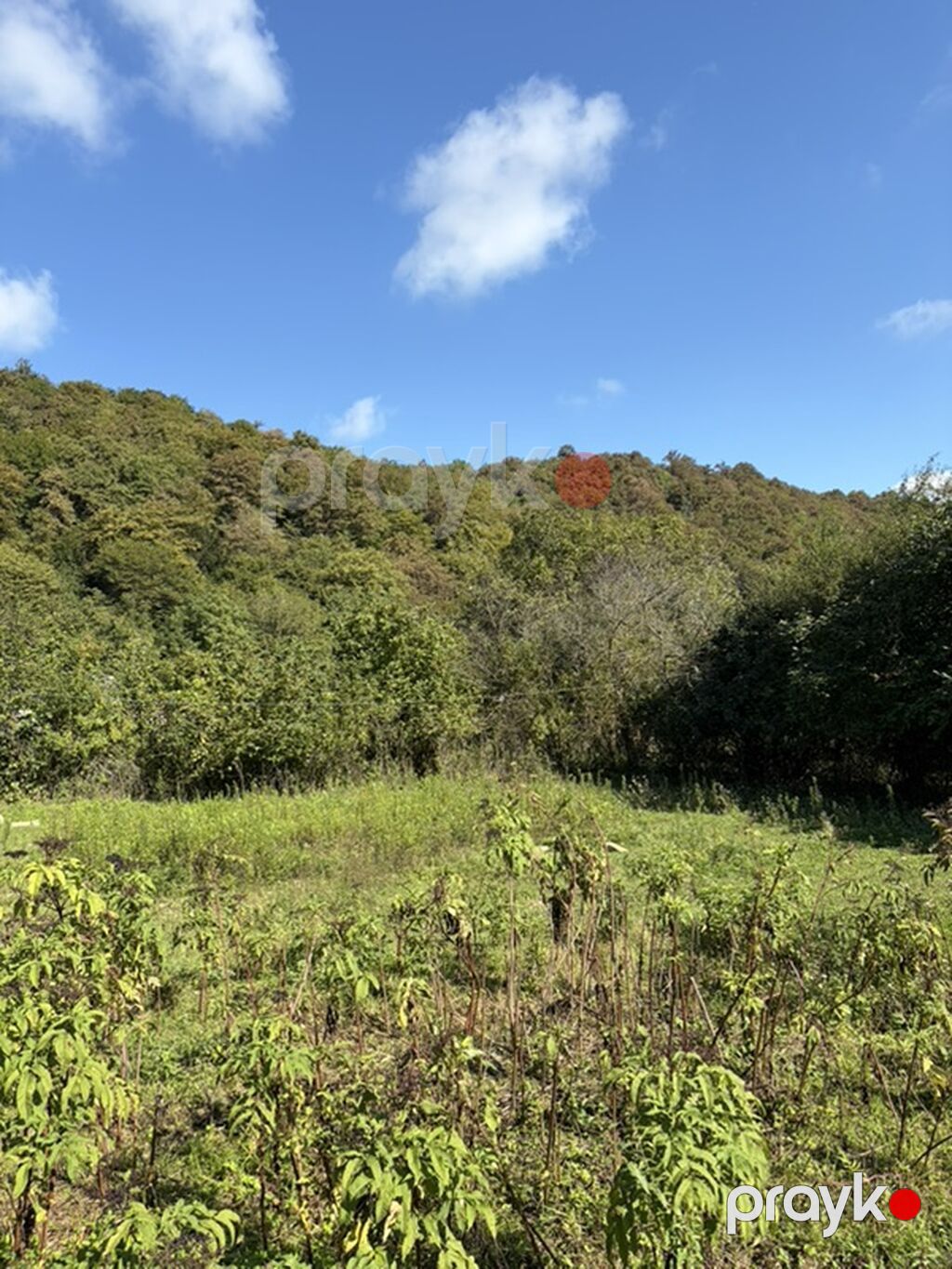 3 sot, Tikinti, Mülkiyyətçi, Kupça (Çıxarış) — Torpaq, Qusar (6)