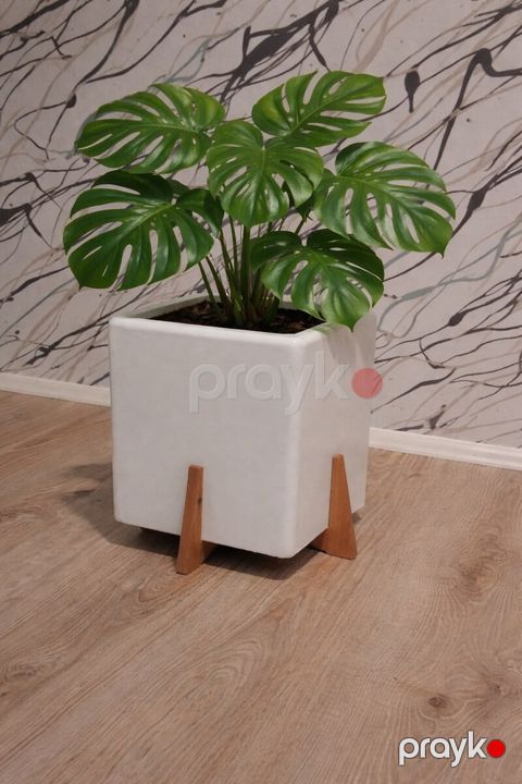 Dibçək — Bakı