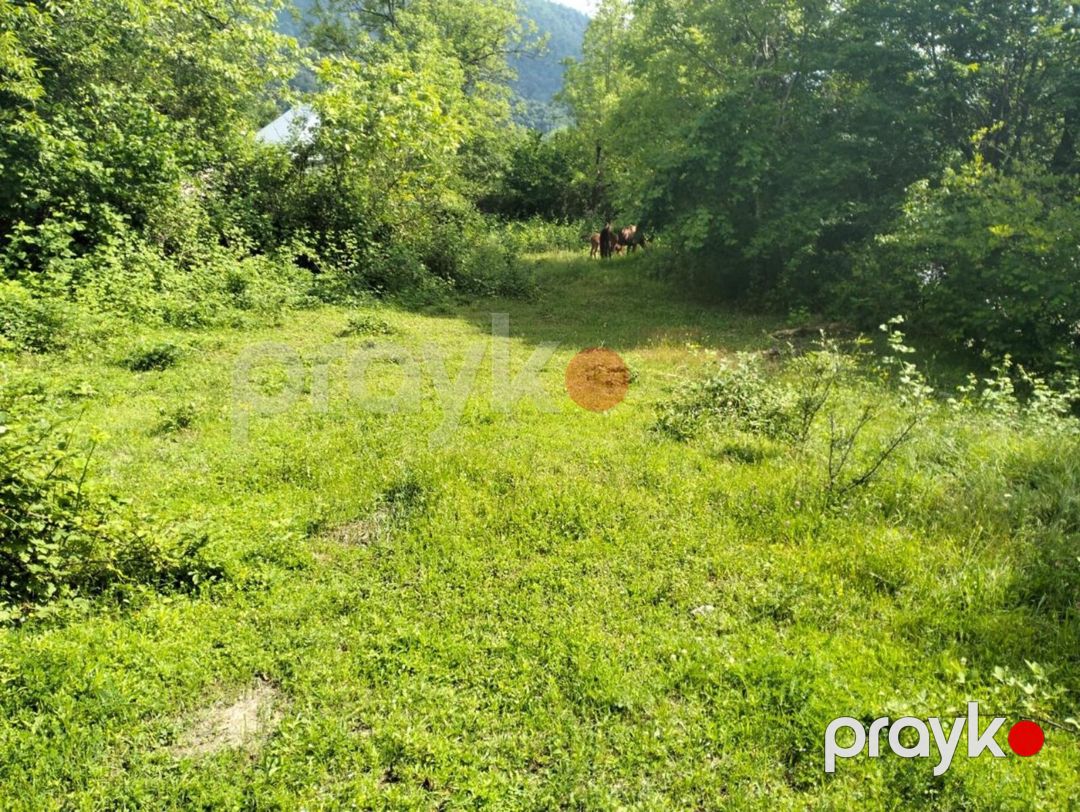 5 sot torpaq sahəsi, İsmayıllı r — Torpaq, İsmayıllı (4)