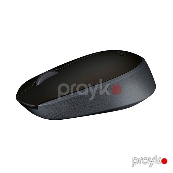 Logitech Wireless Mouse M171 Black — Mallar, Bakı (2)
