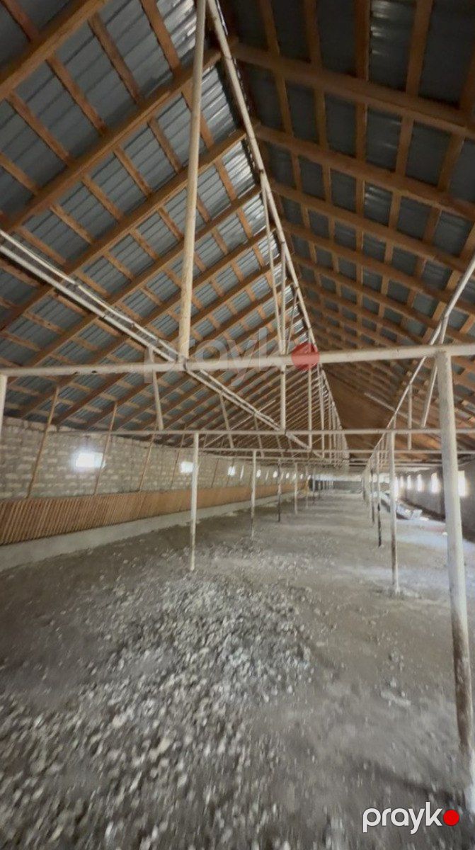 Satılır obyekt 400000 m² — Əmlak, Bakı (12)