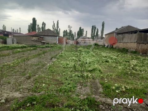 12 sot torpaq sahəsi, Xaçmaz r — Xaçmaz