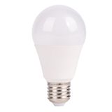 Dlx lampa LED IP20 A60-E27-10W-6500K — Omid.az — Lighting