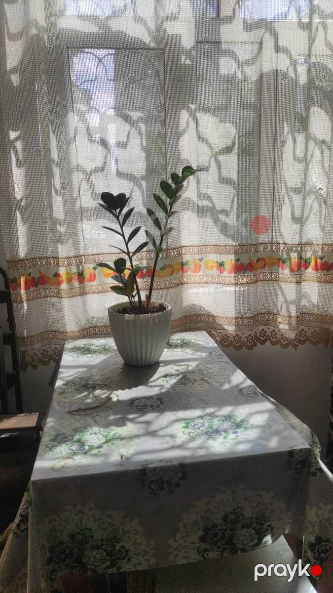 İcarəyə verilir 2 otaqlı köhnə tikili 40 m² — Mənzil, Bakı (6)