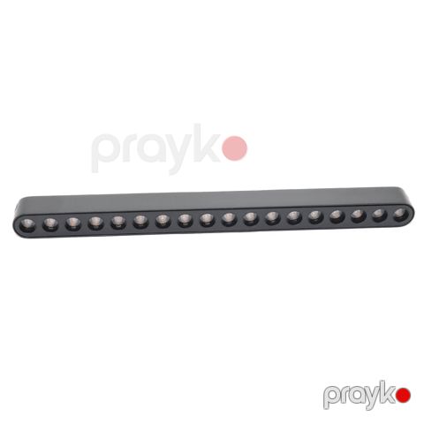 Ray spotu TL3006C-16WDC48-GLR18-G1 sparkled 16W 4000K maqnitli