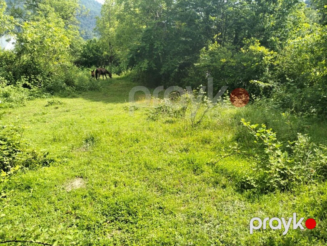 5 sot torpaq sahəsi, İsmayıllı r — Torpaq, İsmayıllı (2)
