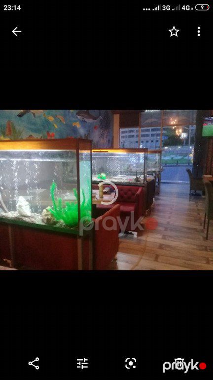 Akvarium — Akvariumlar və balıqlar, Bakı (6)