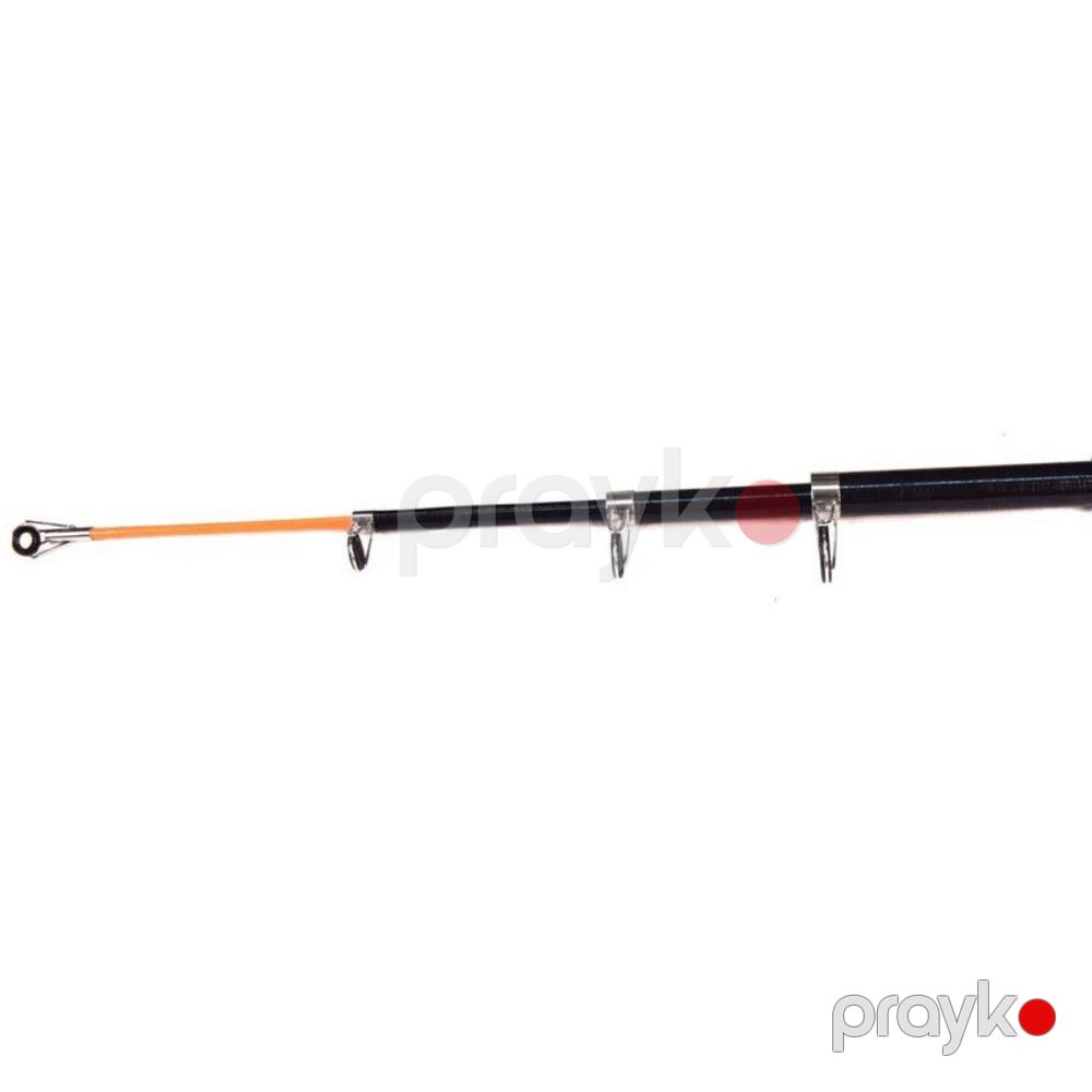 Tilov ağacı Tele Carp, 3 m — Mallar, Bakı (4)