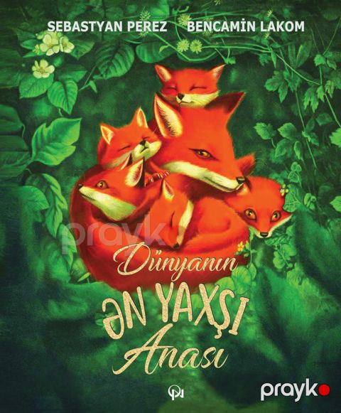 Dünyanın ən yaxşı anası — Bakı
