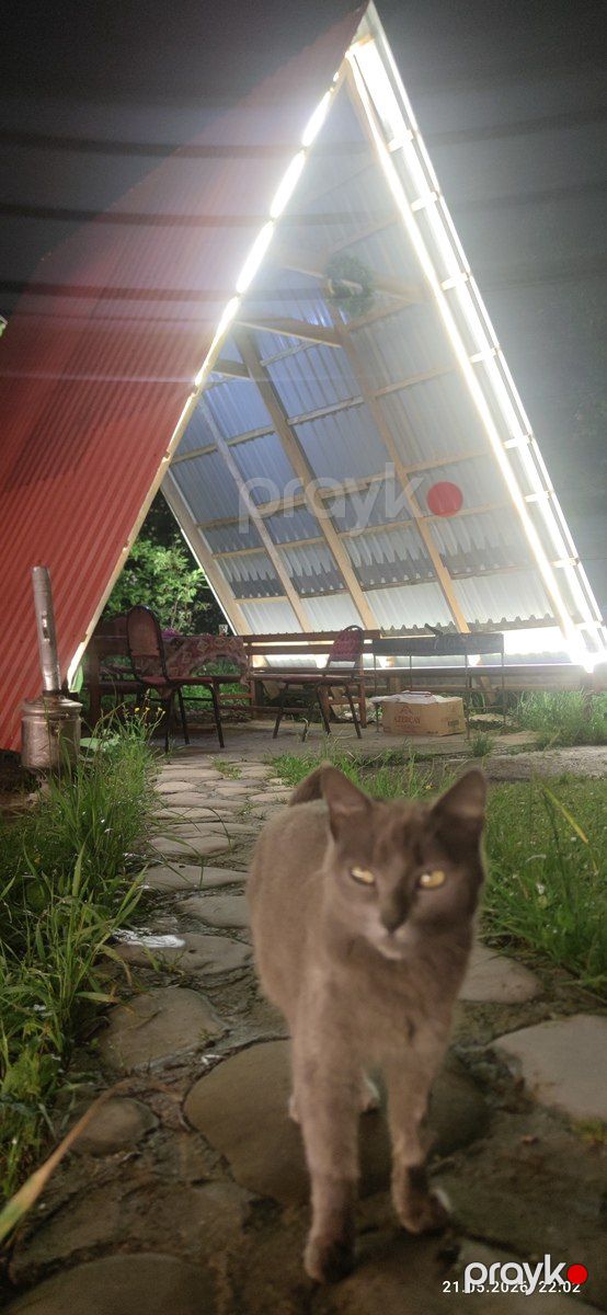Bağ evi kirayə verilir, Quba r — Ev, villa, Quba (7)