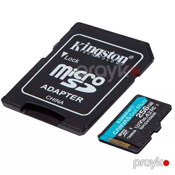 Kingston Canvas Go Plus microSD 256GB SDCG3/256GB-N Black — Mallar, Bakı (3)