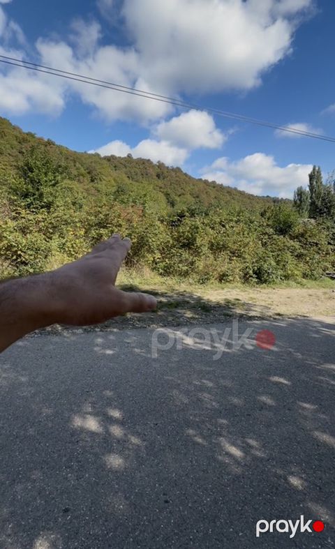 3 sot, Tikinti, Mülkiyyətçi, Kupça (Çıxarış) — Qusar
