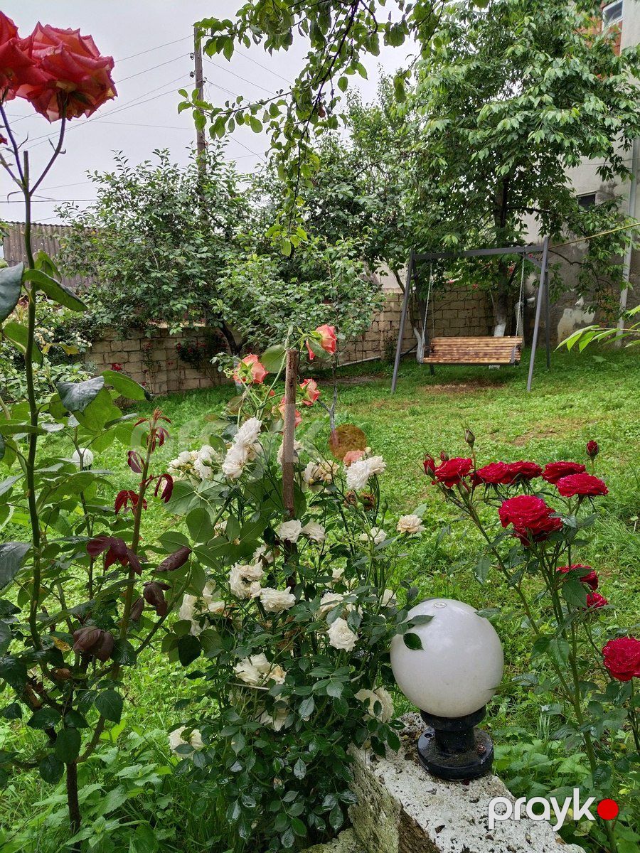 Bağ evi kirayə verilir, Quba r — Ev, villa, Quba (3)