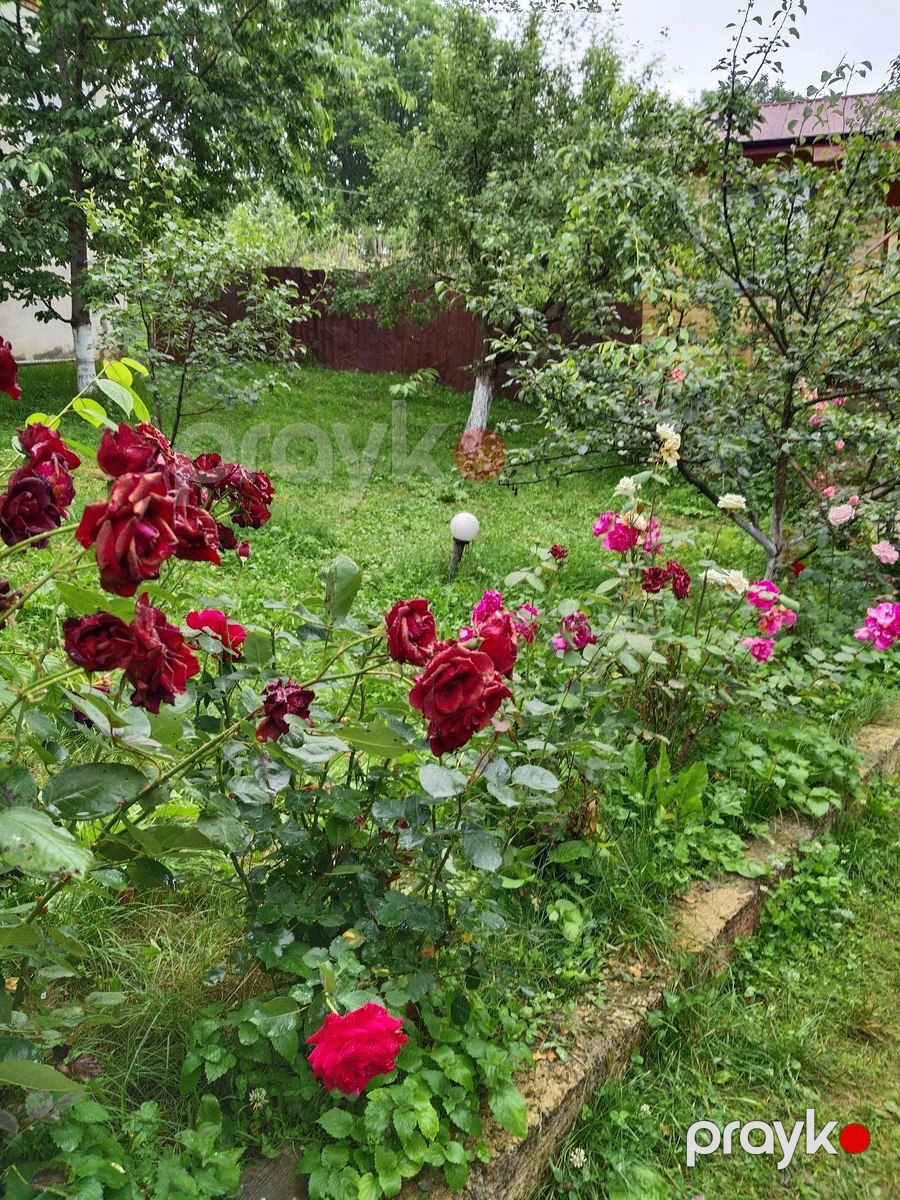 Bağ evi kirayə verilir, Quba r — Ev, villa, Quba (8)