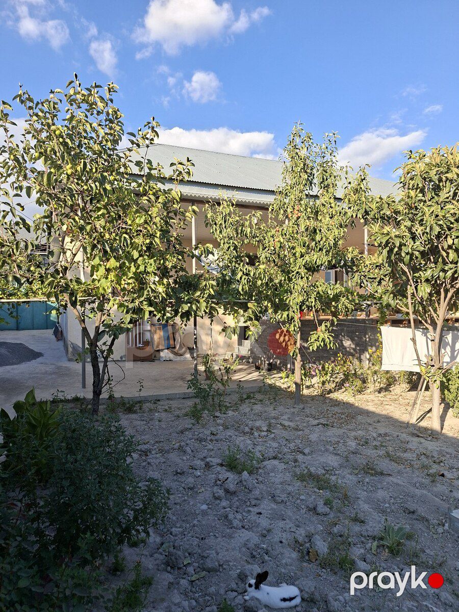 Həyət evi, Şəki ş — Ev, villa, Şəki (5)